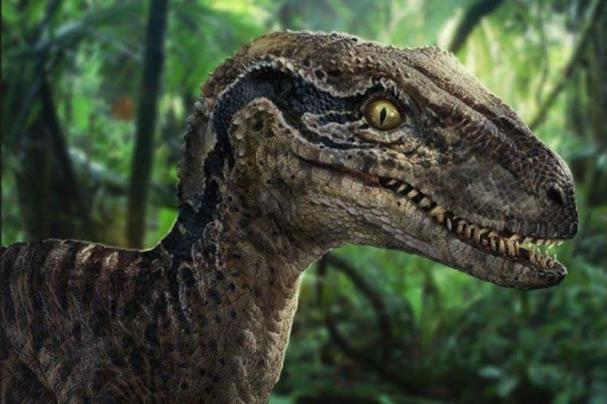 Un estudio afirma que los dinosaurios podrían tener un origen diminuto