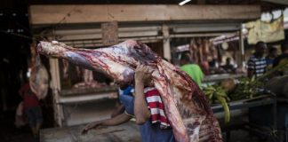Precio del kilo de carne en Venezuela Fedenaga: La producción de carne en Venezuela no supera 50%
