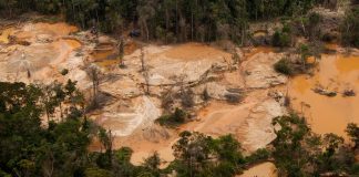 Fundaredes Arco Minero del Orinoco Arco Minero la Amazonía