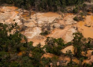 Fundaredes Arco Minero del Orinoco Arco Minero la Amazonía