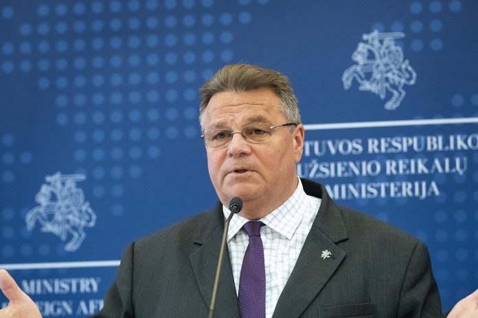 Lituania no reconocerá las parlamentarias si no se cumplen las condiciones democráticas