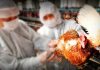 gripe aviar Panamá