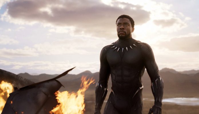 Pantera Negra Chadwick Boseman Black Panther