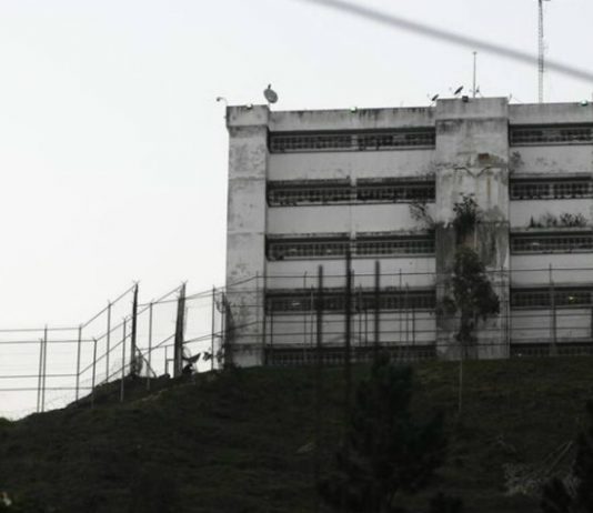 Ramo Verde Cotiza tenientes