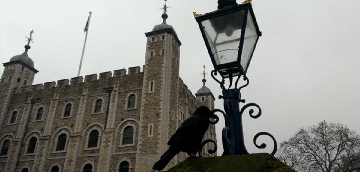 cuervos-torre-de-londres