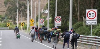Ecuador Acnur Elisa Trotta: Restringir fronteras y criminalizar a los venezolanos solo llevará a más sufrimiento