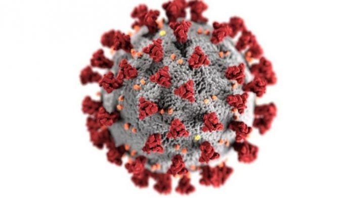 Coronavirus India, SARS-CoV-2