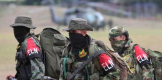 guerrilla disidencias grupos armados