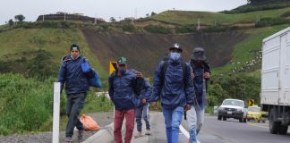 31% de venezolanos que entró a Ecuador lo hizo por trochas