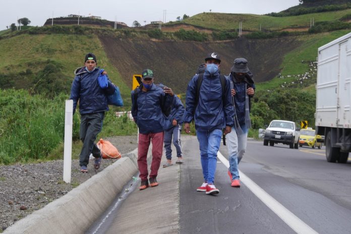 31% de venezolanos que entró a Ecuador lo hizo por trochas