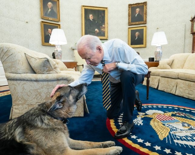 La Casa Blanca anuncia la muerte de ‘Champ’, uno de los perros del presidente Biden