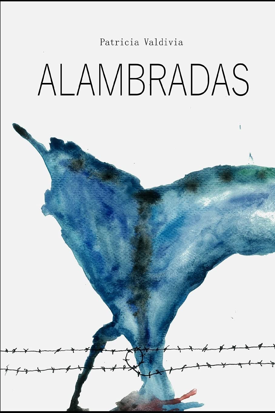 Entre el poder y la rabia: Alambradas