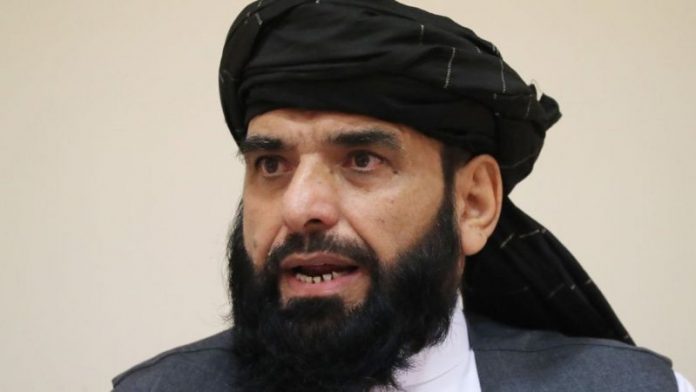 Afganistán portavoz del Talibán