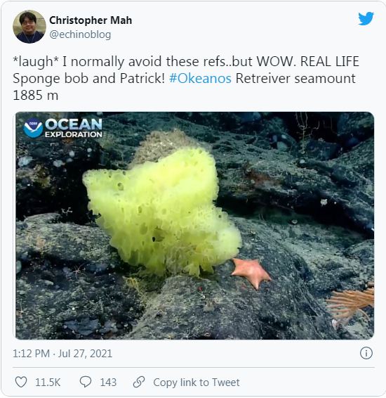 Bob Esponja y Patricio Estrella 