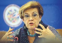 Relatora de la CIDH lamentó la muerte de Niurka Camacho