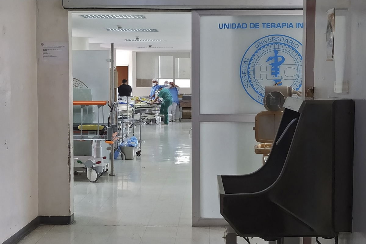 Hongo negro en Venezuela: 8 preguntas sobre la infección oportunista que está asociada al covid-19