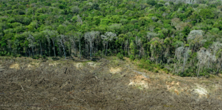 la Amazonía, El Nacional, Coalición Verde