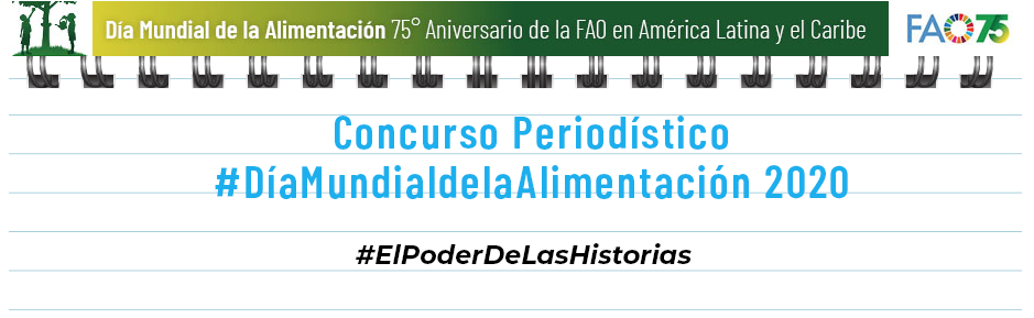 Concurso de la FAO para periodistas premiará a ganadores con becas en universidades de América Latina y el Caribe 