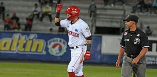Cardenales a