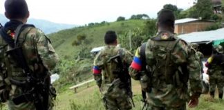 Coltán, FARC, ELN