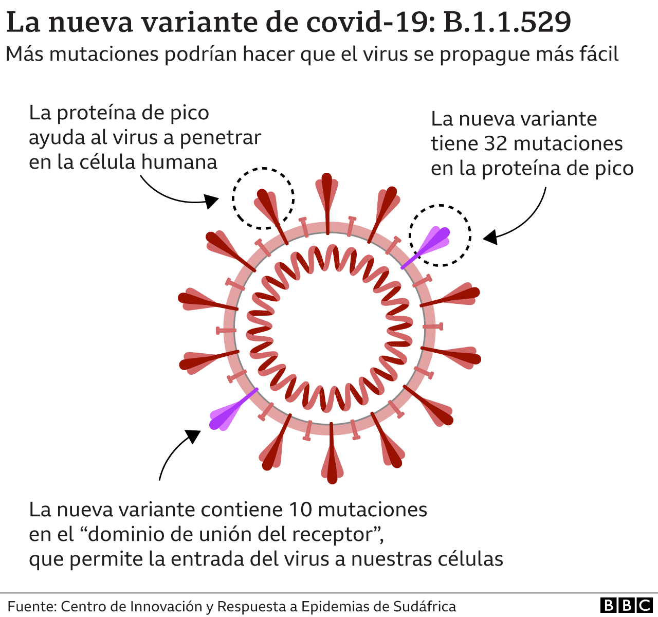 ómicron nueva variante