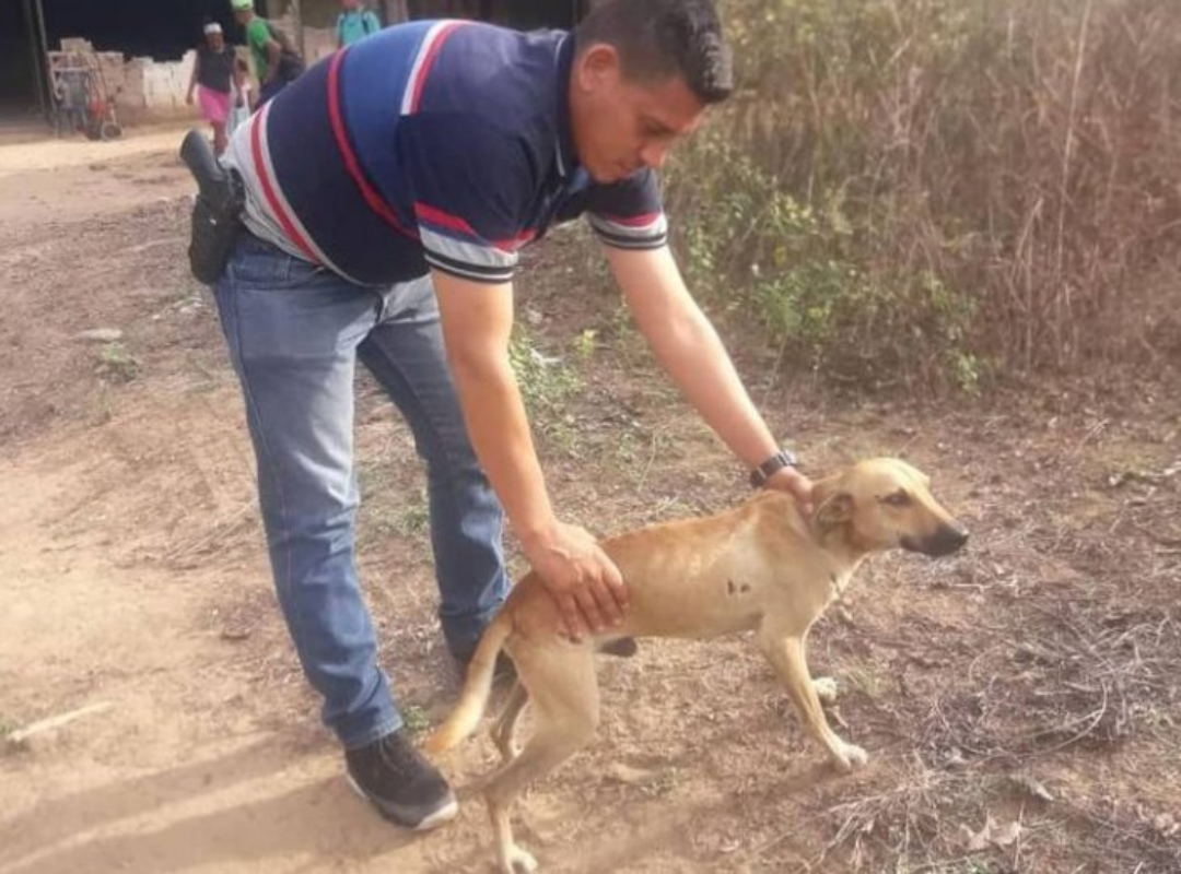 hombre arrastró perro