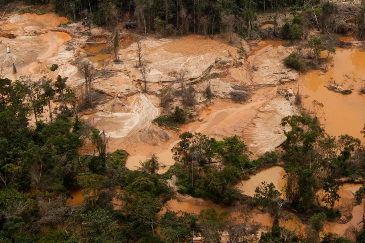 Parques nacionales de Venezuela: daños irreparables bajo las sombras de un Estado transigente