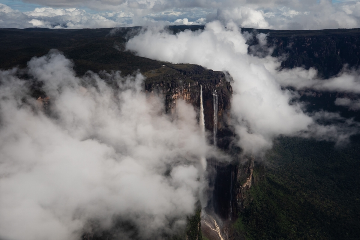 Parques nacionales de Venezuela: daños irreparables bajo las sombras de un Estado transigente