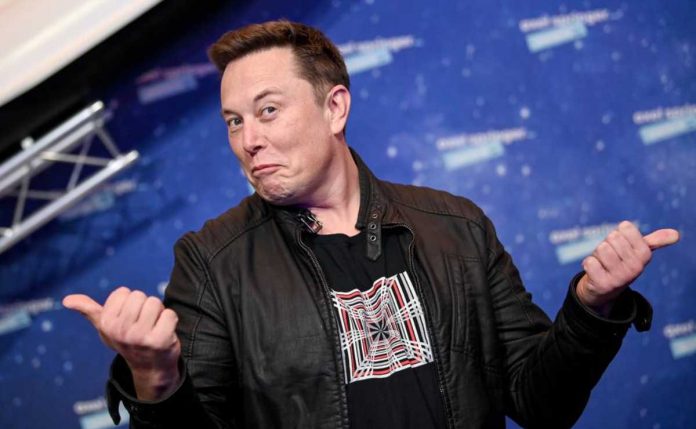 Elon Musk red social-de