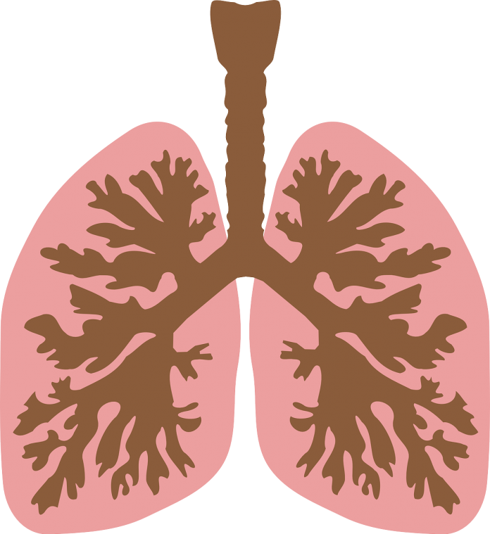 covid persistente, vías respiratorias