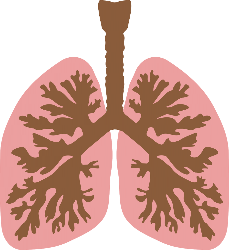 covid persistente, vías respiratorias