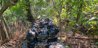 Desmantelan laboratorio de cocaína “made in Colombia” en el estado Apure