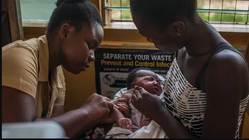 Cómo el cambio climático amenaza con aumentar la transmisión de la malaria