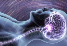La Unesco liderará el diálogo mundial sobre la ética de la neurotecnología
