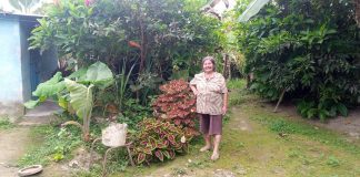 Recuperarse de un deslave para seguir sembrando: la historia de Elvia Rodríguez