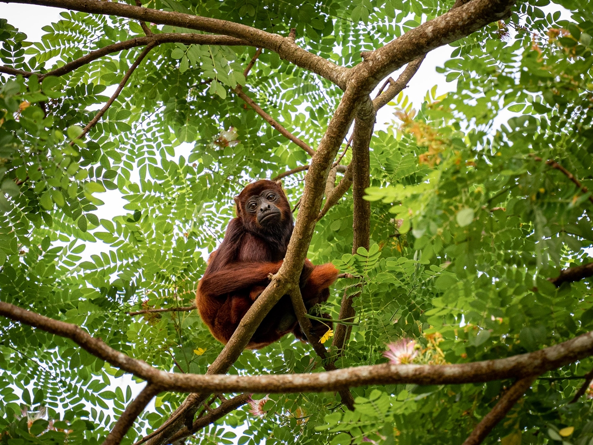 Fotógrafo Juan Diasparra expone la asombrosa biodiversidad desde lo profundo de Venezuela, un país que lo ha dado todo