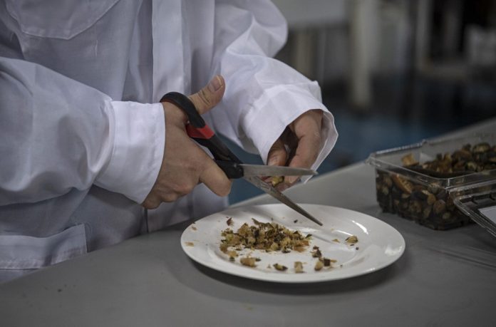 CHILE-FOOD-3D-PRINTING-ALGAE alga