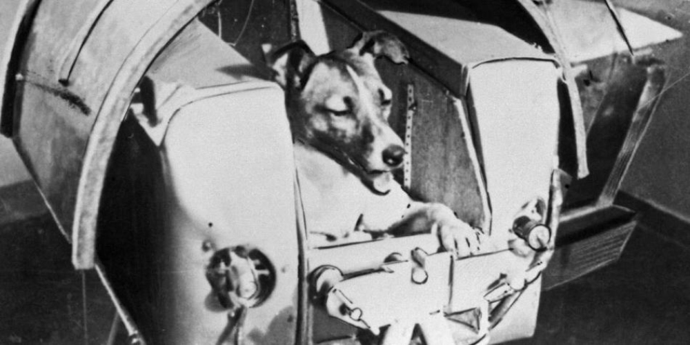 ¿Qué pasó con los restos de Laika, la perrita enviada a morir al espacio?