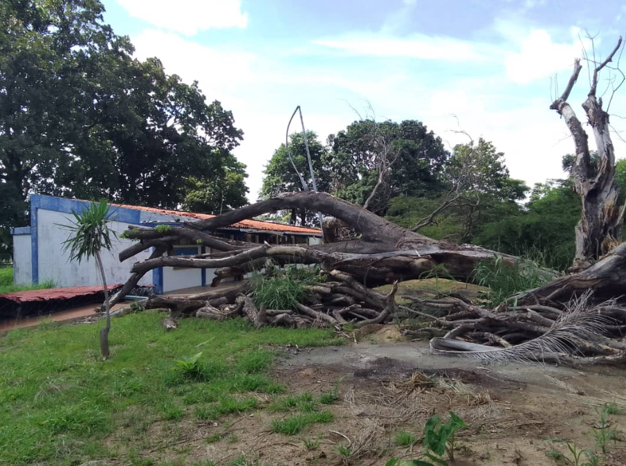 Denuncian deterioro de la Universidad Nacional Abierta en Barinas