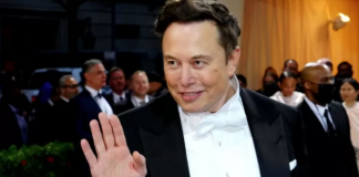 Tesla Elon Musk tuits