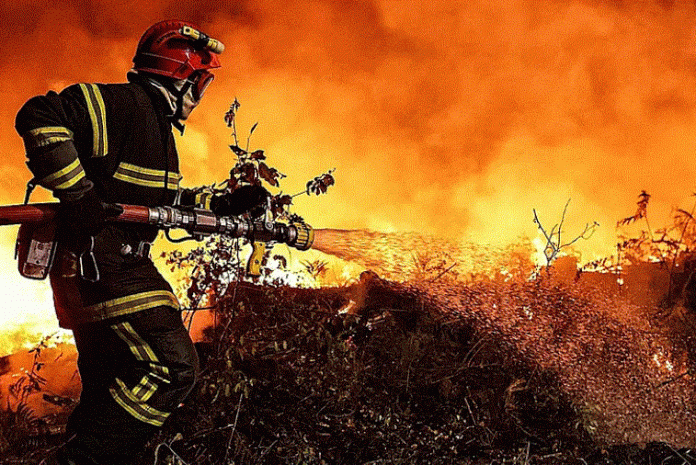 incendio Portugal
