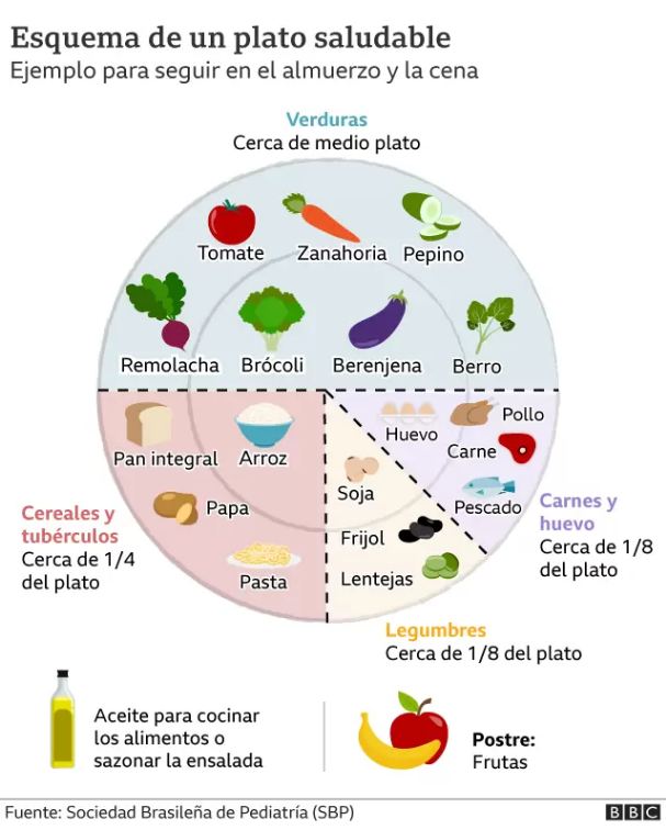 alimentos 