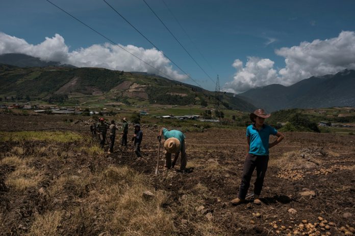 Gobierno de Maduro negó que vaya a regalarle tierras productivas al régimen de Irán
