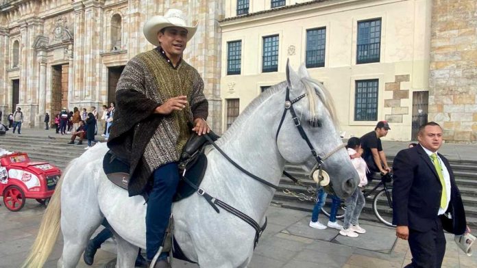 Senador colombiano caballo