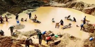 Luis Almagro: Los pueblos indígenas son las principales víctimas de la explotación minera del Orinoco Arco Minero del Orinoco