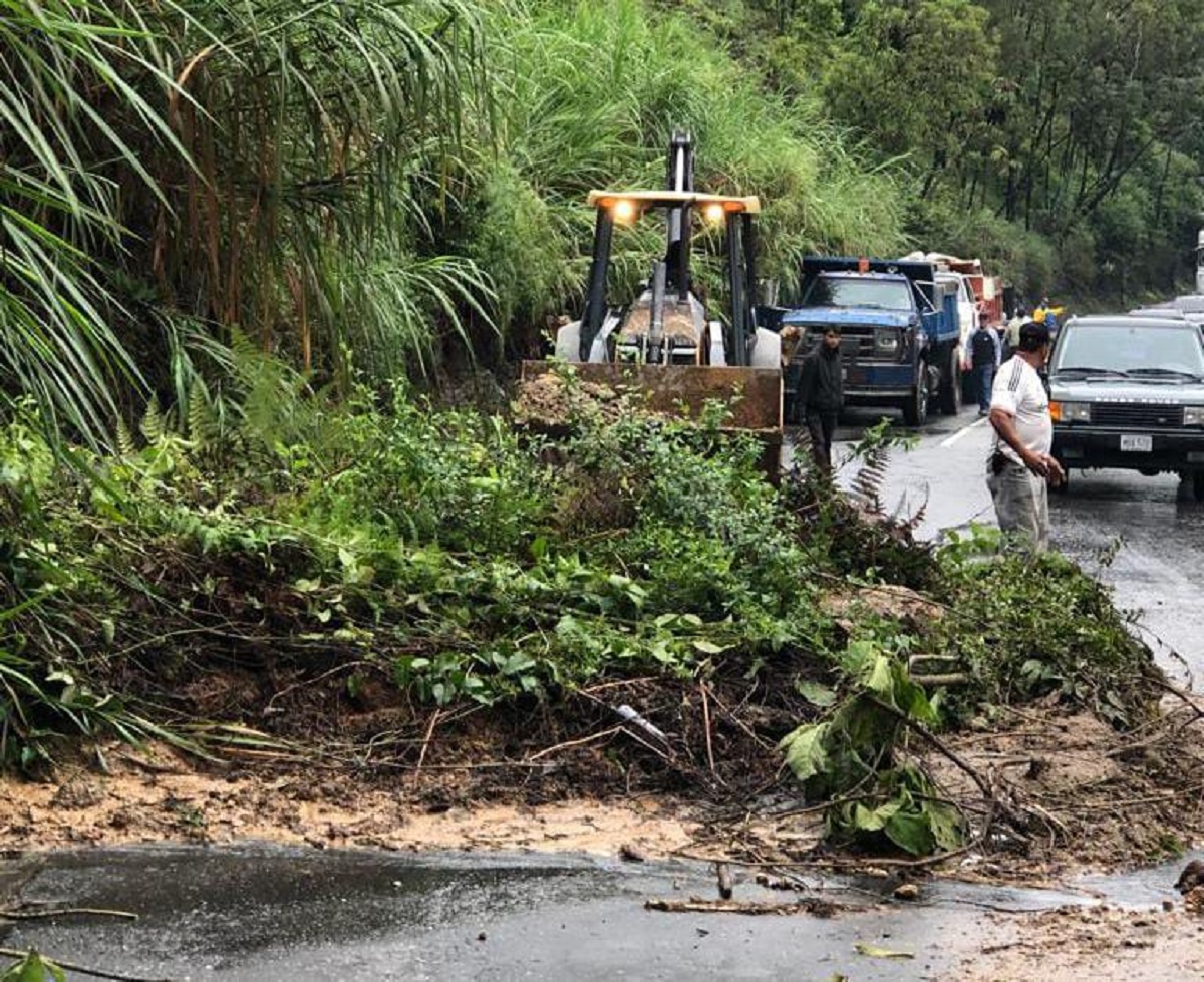 Al menos 19 viviendas afectadas en Carrizal por las lluvias