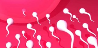 espermatozoides - de esperma
