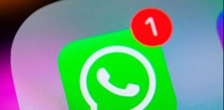WhatsApp caída copia seguridad
