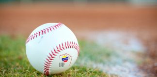 beisbol venezolano