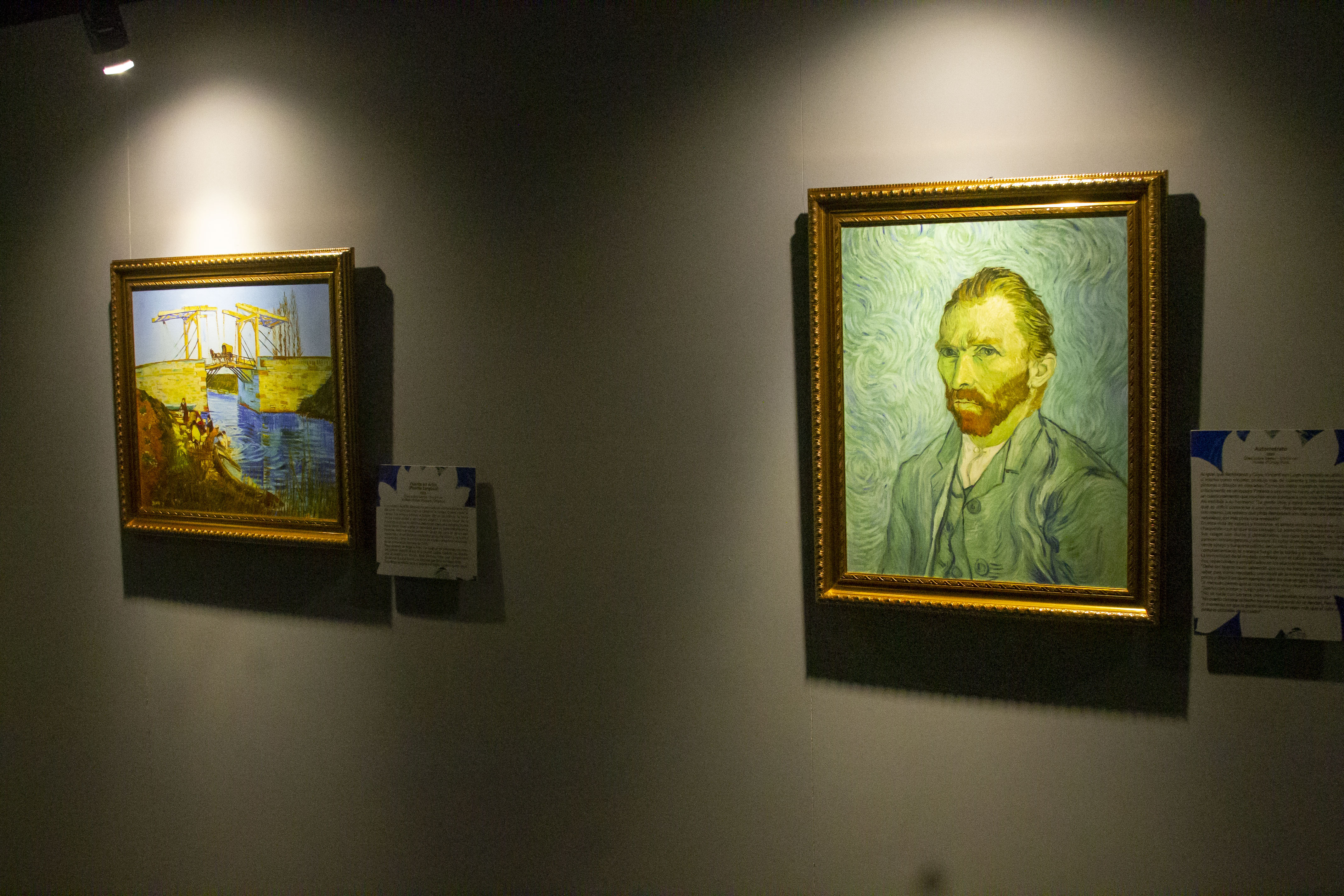 Van Gogh sueño inmersivo 